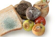 Hyderabad police inspector leading anti-food adulteration team with contaminated produce.