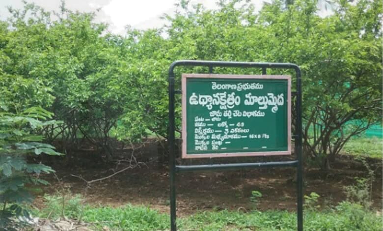Signboard in Telangana urging protection of seed farm lands, surrounded by lush green trees.
