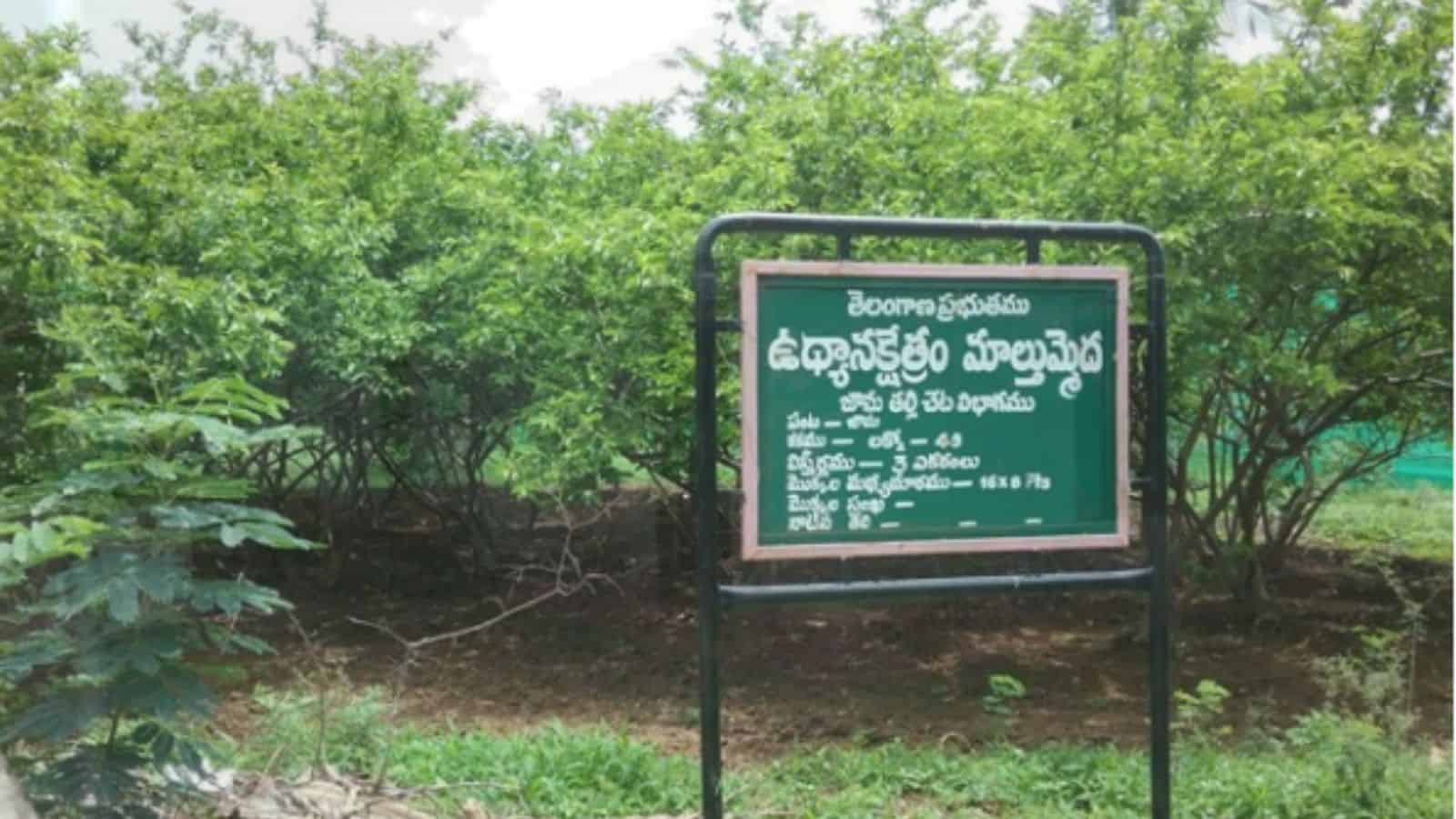 Signboard in Telangana urging protection of seed farm lands, surrounded by lush green trees.
