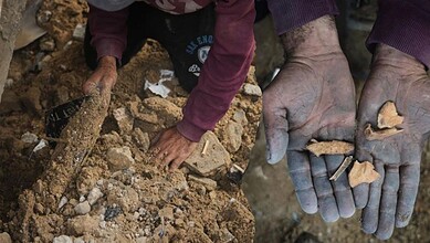 Father's hands digging through debris for remains in Gaza.