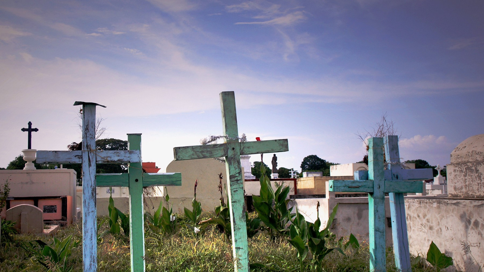 SC rejects plea over hoardings 'prohibiting' entry of pastors in Chhattisgarh villages