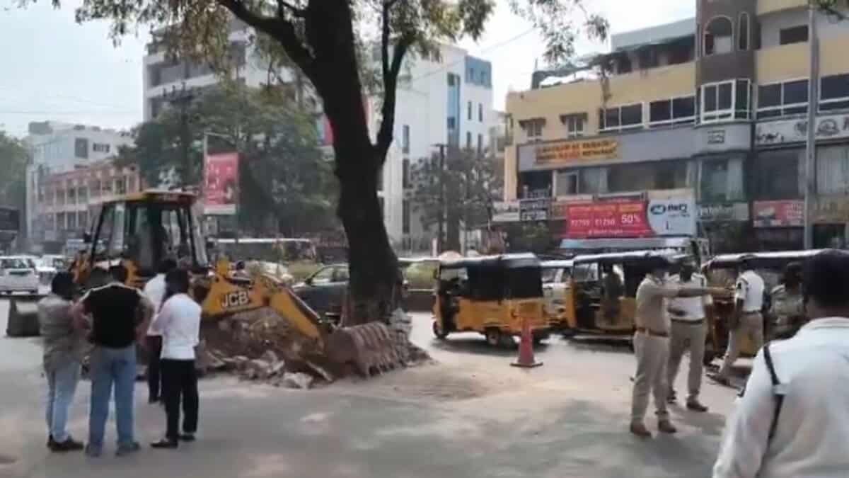 Tree obstructing traffic near Shaikpet flyover relocated by GHMC