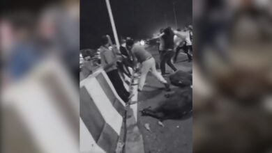 Two Muslim men transporting buffalo calves by vehicle were allegedly rammed by cow vigilantes, overturning the car and killing the calves. Vigilantes then beat the men And FIR was registered again