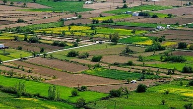 Representational image