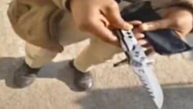 Woman carrying a knife at polling booth in Adilabad, detained by authorities.