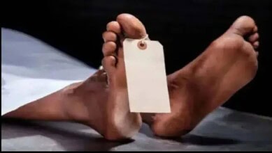 Representational image of a des body