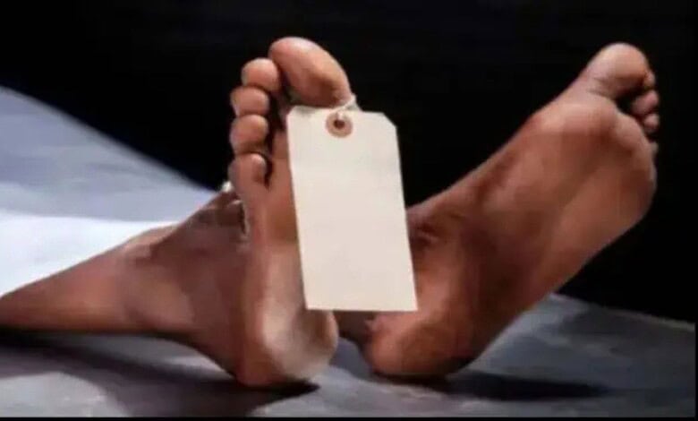 Representational image of a des body