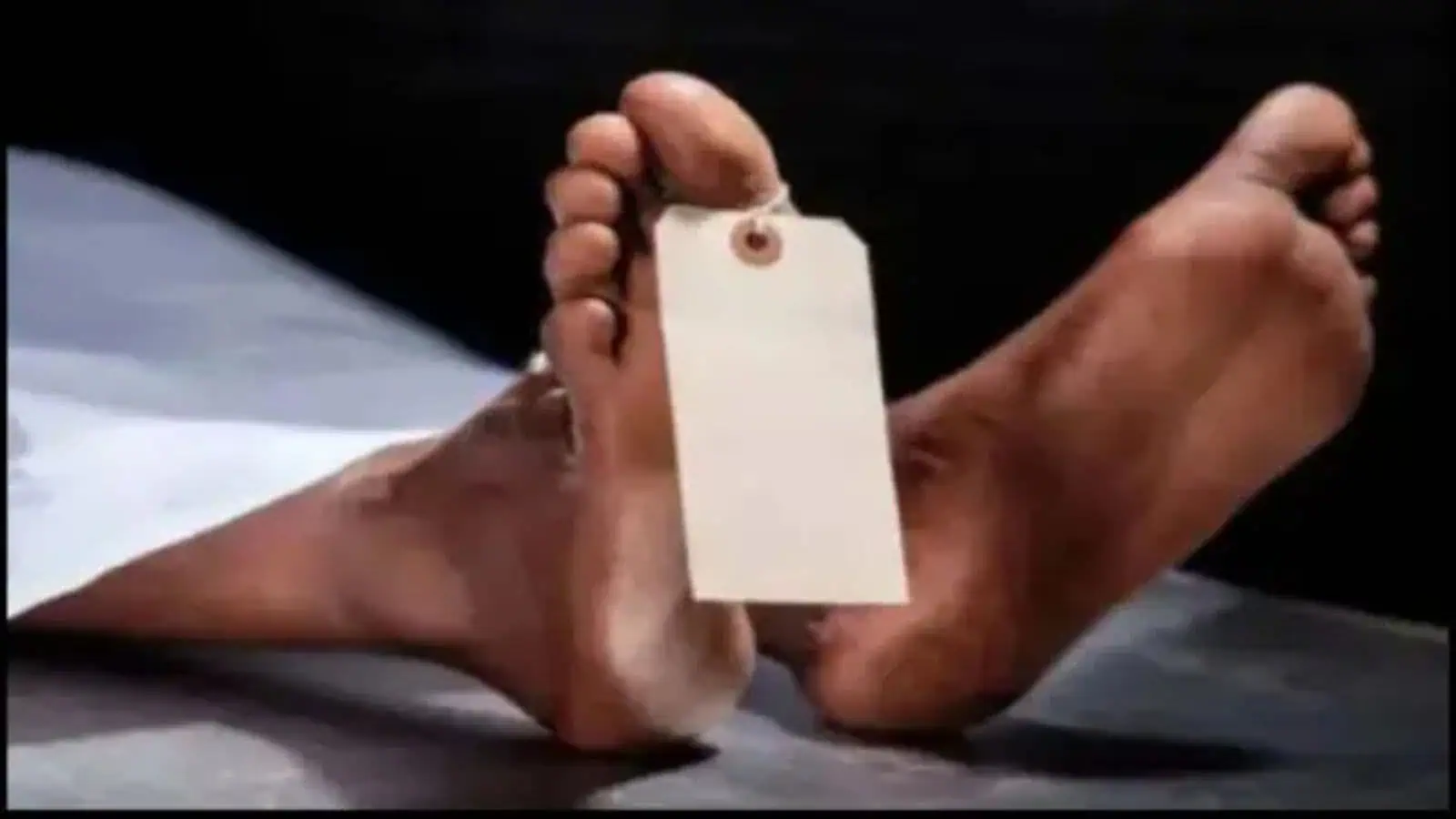 Representational image of a des body