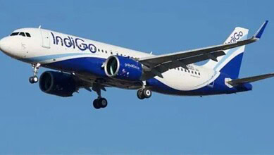 IndiGo airplane experiencing software outage affecting check-in services.