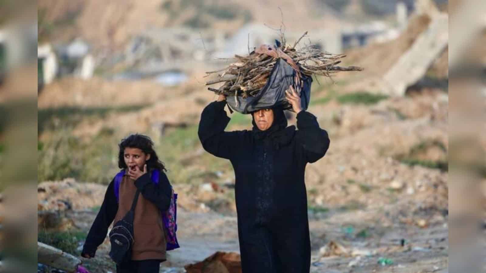 Child carrying firewood in Gaza amid conflict, illustrating humanitarian issues in the West Bank.