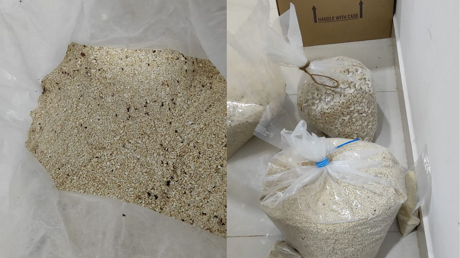 Food safety raid in Hyderabad uncovers infested Cashew Stocks