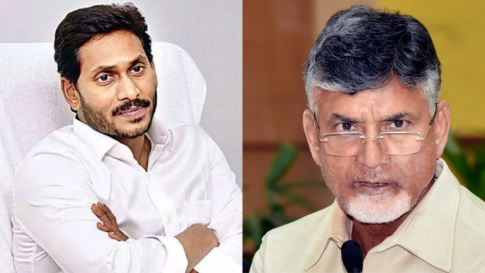Chandrababu naidu YSR Mohan Reddy