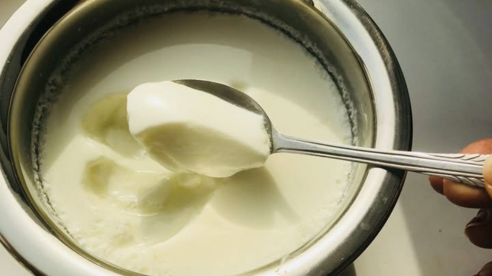 contaminated curd