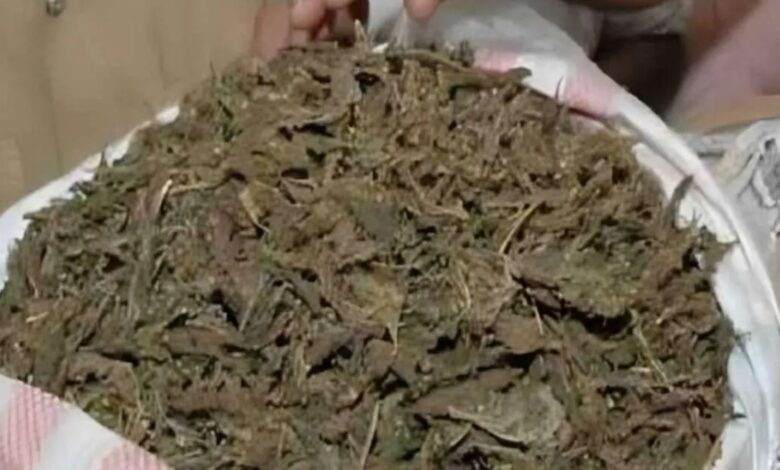 Three held in Bhadradri Kothagudem district for illegally transporting Ganja from AP to Hyderabad.