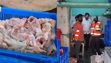 Close-up of raw chicken pieces in crates at Siasat Daily.