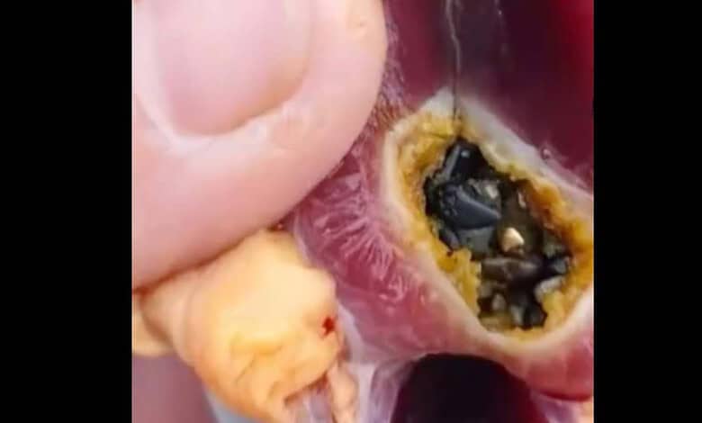 Gold particles found inside a duck in China
