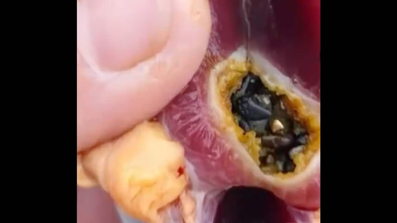 Gold particles found inside a duck in China