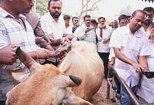 Ponnam Prabhakar launches cattle vaccination drive with local officials and farmers in Karimnagar.