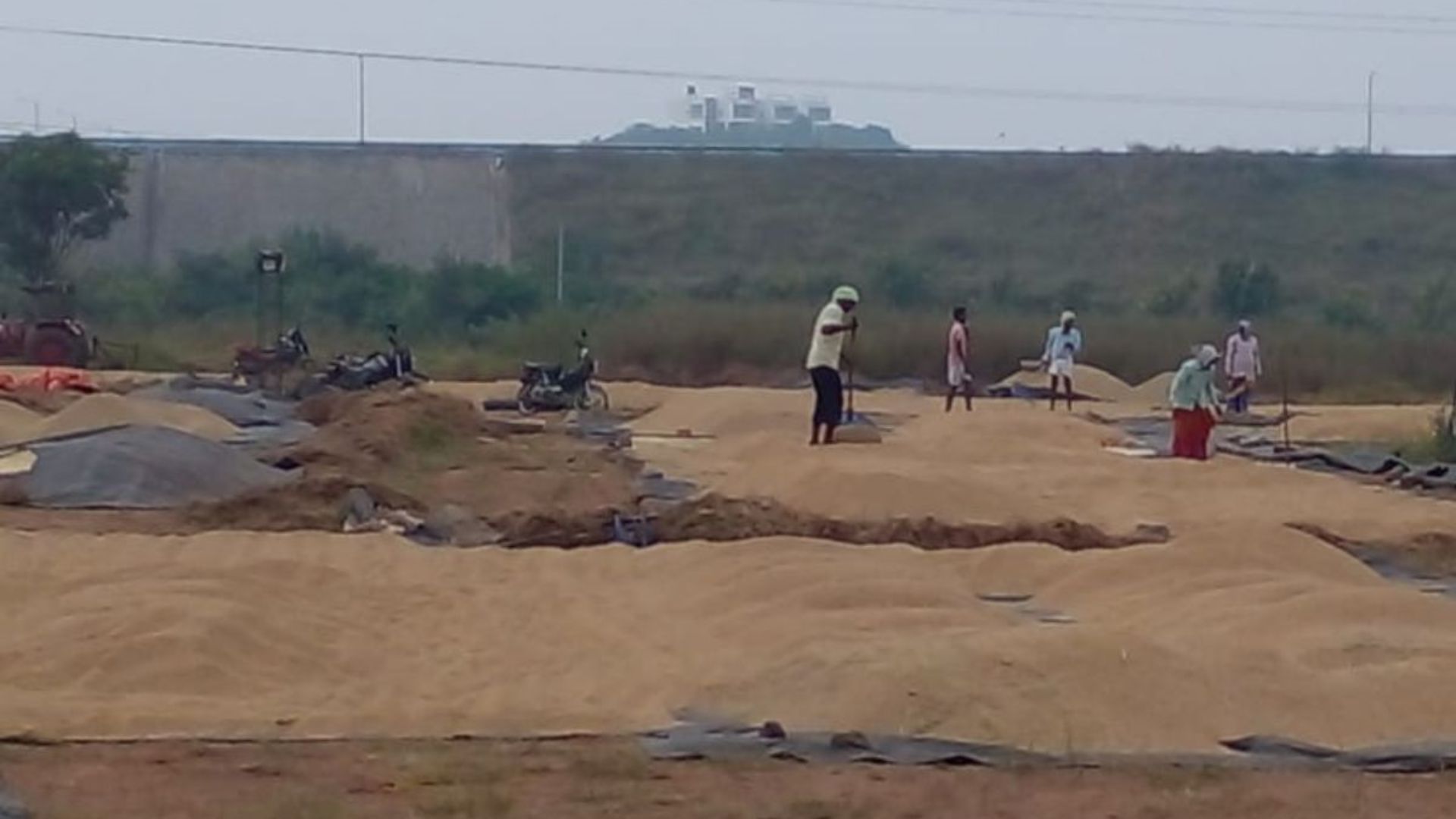 Telangana government seeks Rs 22,700 crore loan from NCDC for Rabi 2025-26 paddy procurement.