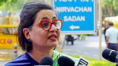 SIR fallout gives TMC edge in Bengal polls, says Sagarika Ghose