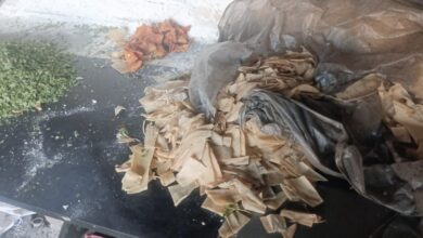 Illegal samosa unit busted in Hyderabad; Unhygienic stock worth Rs 5 L seized