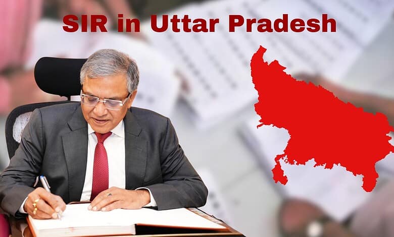 An official in Uttar Pradesh managing claim forms related to the SIR process, highlighting the large volu.