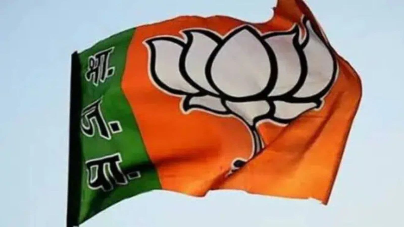 BJP party flag