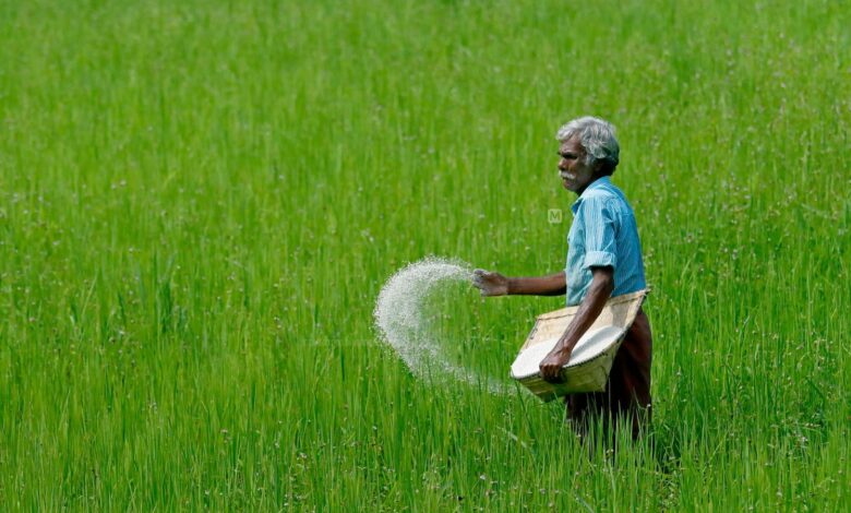 Telangana Assembly passes resolution seeking ban on herbicide paraquat
