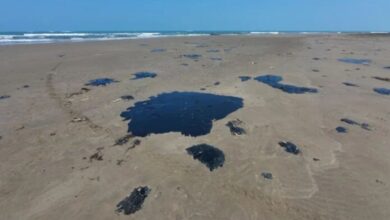 Oil Spill in Mexico