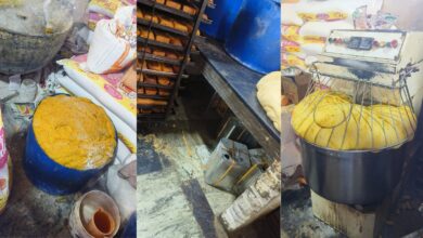 Bakery raided in Gudimalakapur over food safety violations