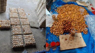 Rotten eggs used to make cakes in Hyderabad, manufacturers arrested