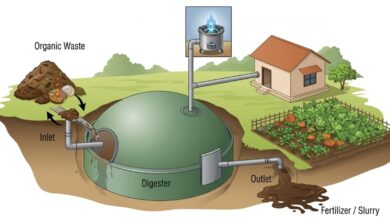 Gujarat educational campus uses biogas to cook 500 meals daily: Officials