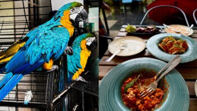 Mairu Bistro Hyderabad