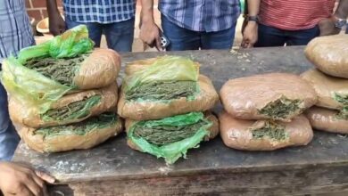 10.16 kg ganja seized in Hyderabad; three arrested, six booked