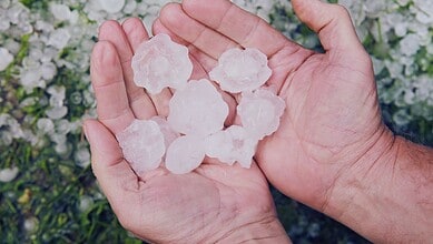 Image shows a person holding big hailstones, highlighting the impact of upcoming heavy rains and hailstorms in Telangana after March 18.