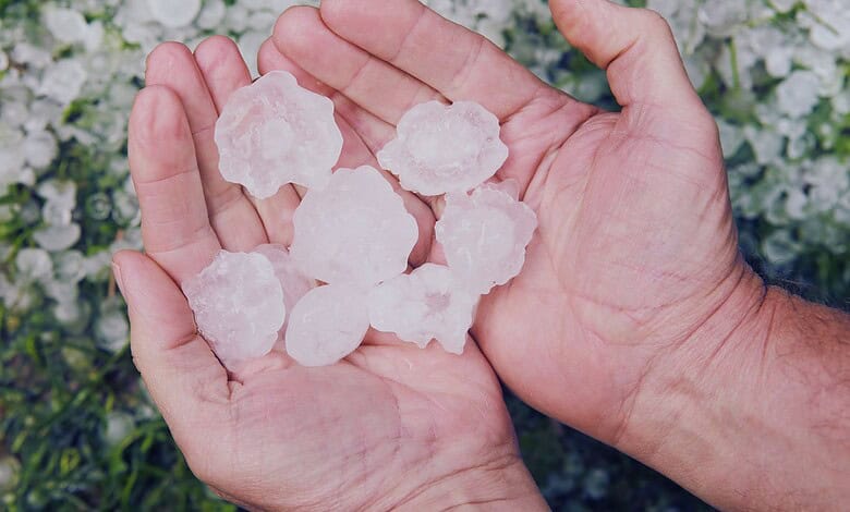 Image shows a person holding big hailstones, highlighting the impact of upcoming heavy rains and hailstorms in Telangana after March 18.