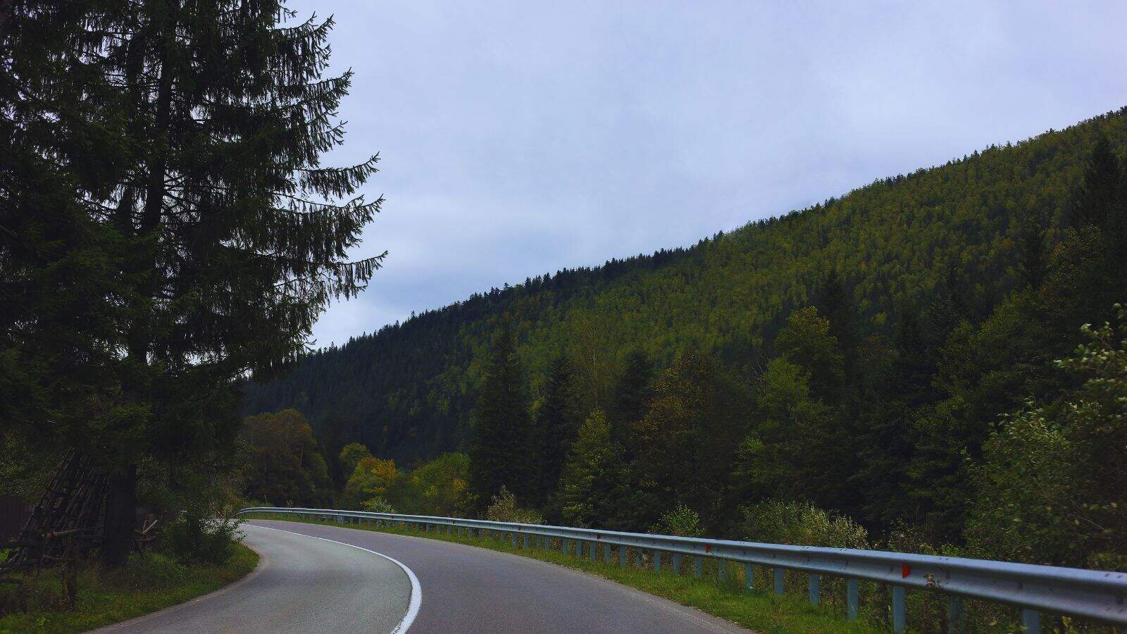 Scenic mountain highway with lush green trees and a winding road, set to be completed by December, linkin.