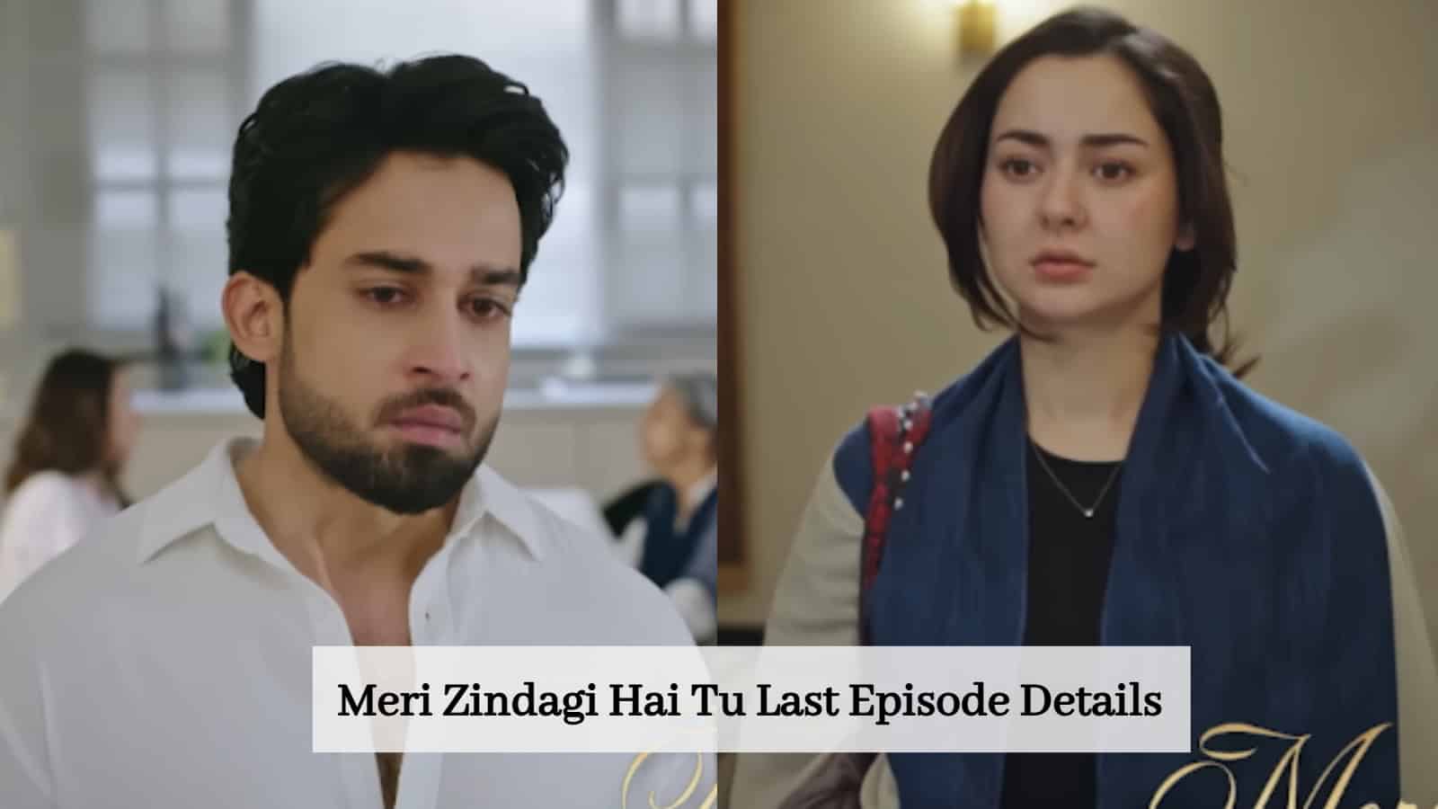 Meri Zindagi Hai Tu last episode