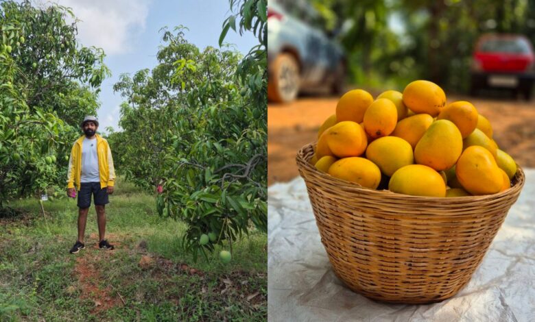 Glimpses of Rent A Tree startup
