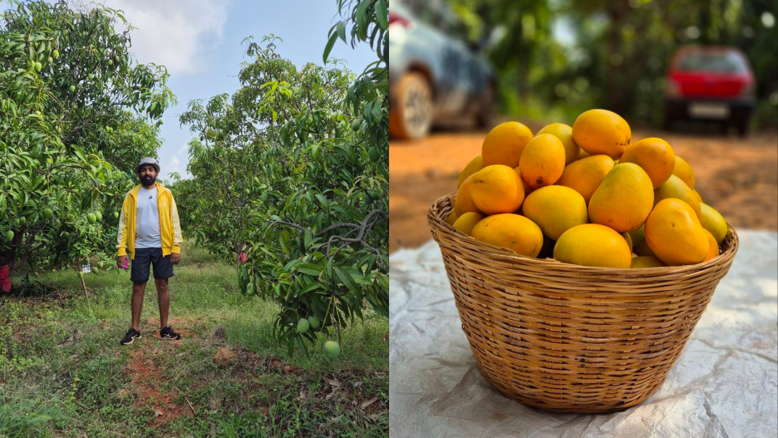 Glimpses of Rent A Tree startup