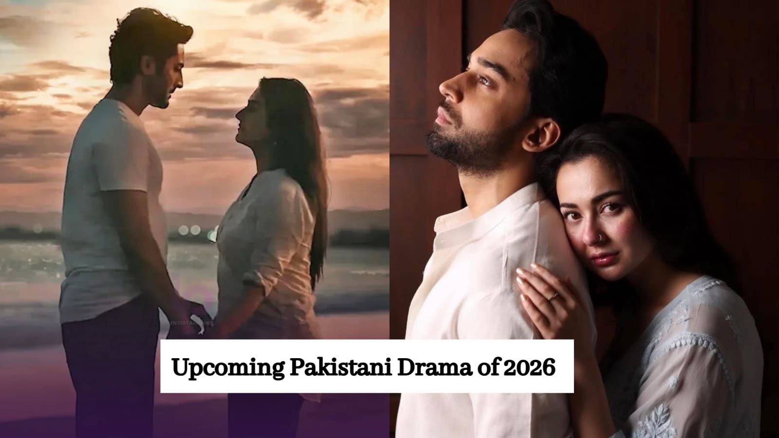 Pakistani dramas of 2026