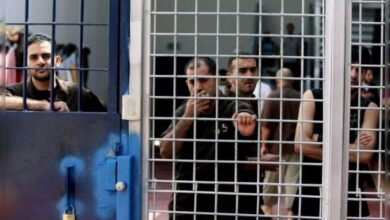 Palestinian prisoners seen behind metal bars inside a detention facility.