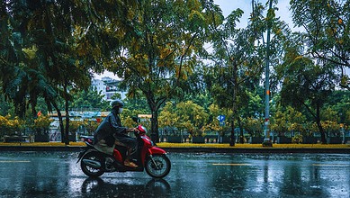 Motorcyclist riding through Hyderabad during moderate rain, wet roads, and lush green trees in the backgr.