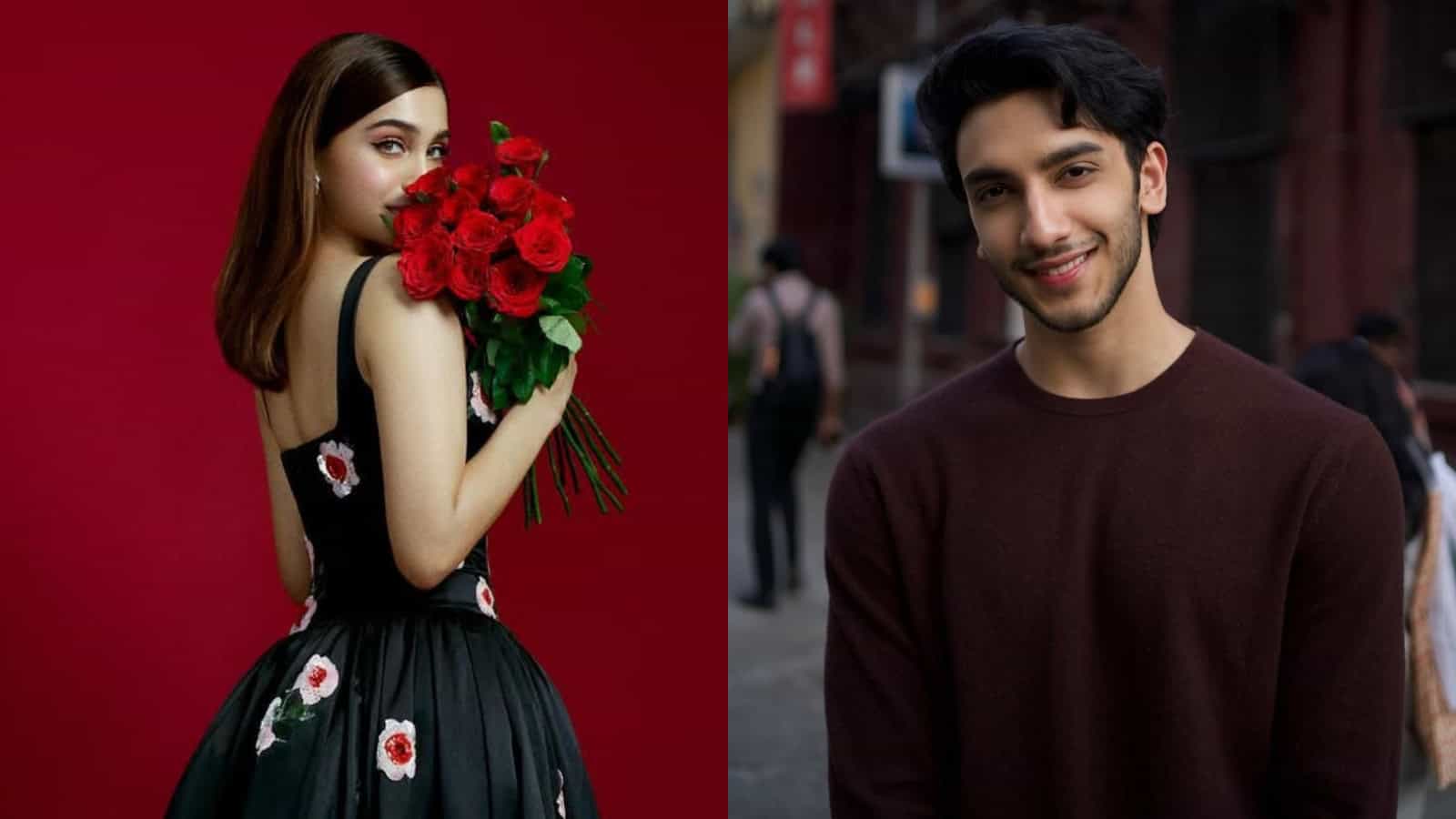 Main Wapas Aaunga stars