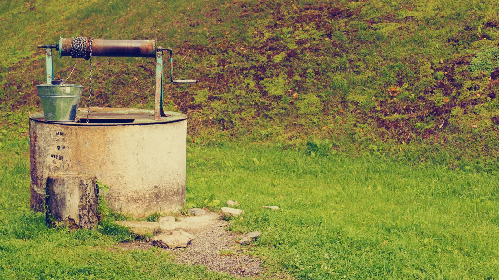 Well with hand pump in a grassy area, symbolising rural water access in Telangana.