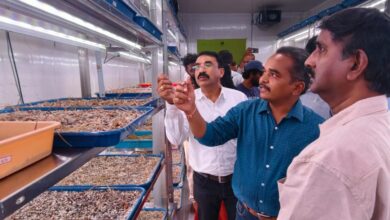 The image shows the professors of SKLTGHU explaining about saffron cultivation during the inauguration of the Aeroponic Saffron Research Laboratory at the College of Horticulture, Mojerla in Wanaparthy district on Friday, April 10, 2026.
