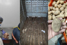 Big Basket warehouse unhygienic conditions