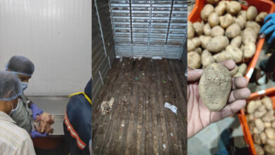 Big Basket warehouse unhygienic conditions