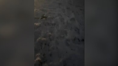 Streets in Hyderabad covered with ice following a record-breaking hot day.