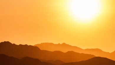 IMD forecasts heatwave in Telangana from April 10 to 13.